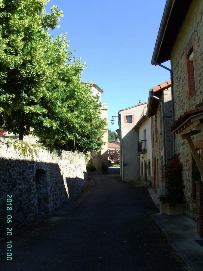 Bed and Breakfast La Fontaine Saint-Georges-en-Couzan Exterior foto